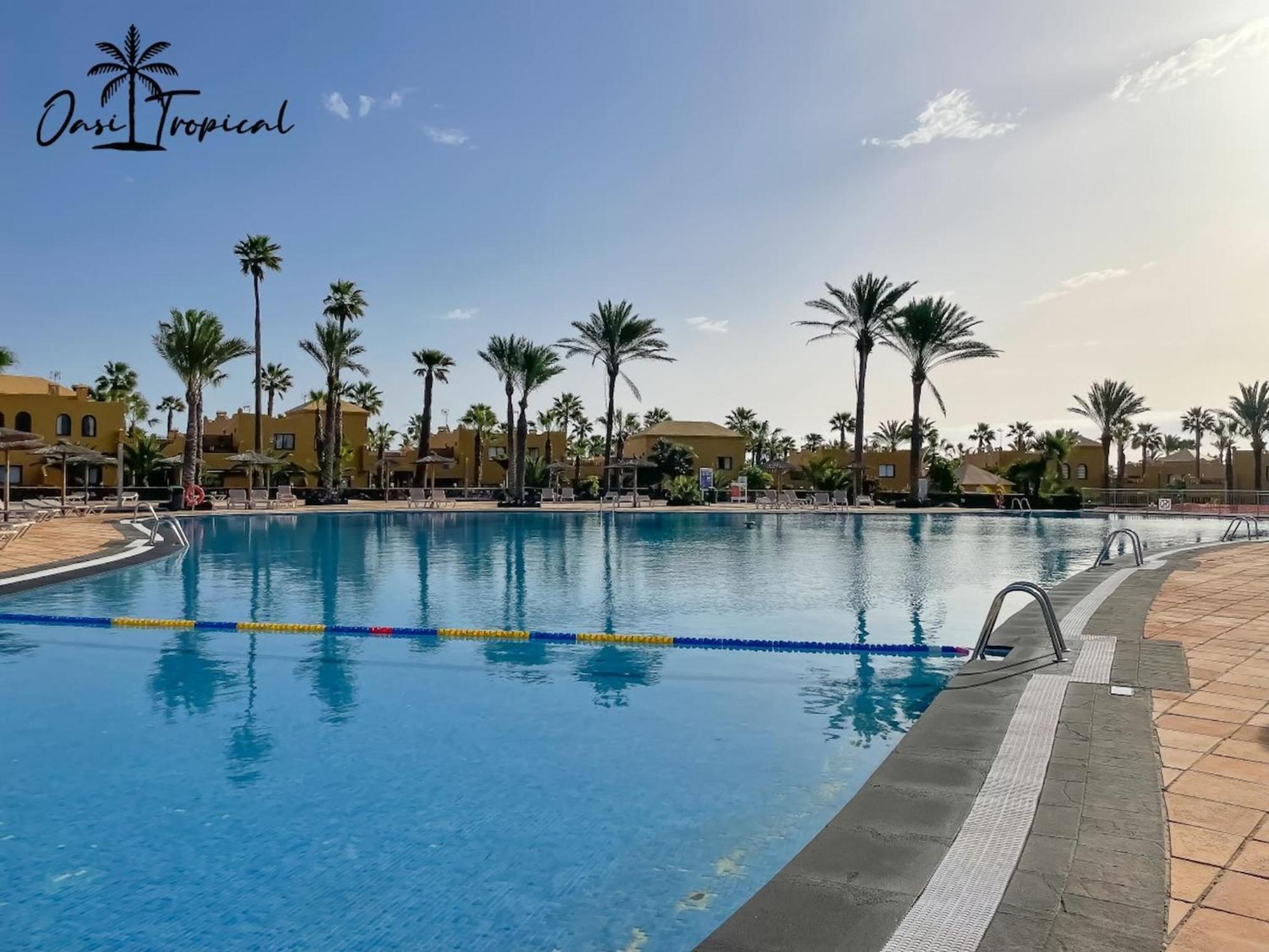 Oasi Tropical Wifi Free By Rentalfue Corralejo Kültér fotó