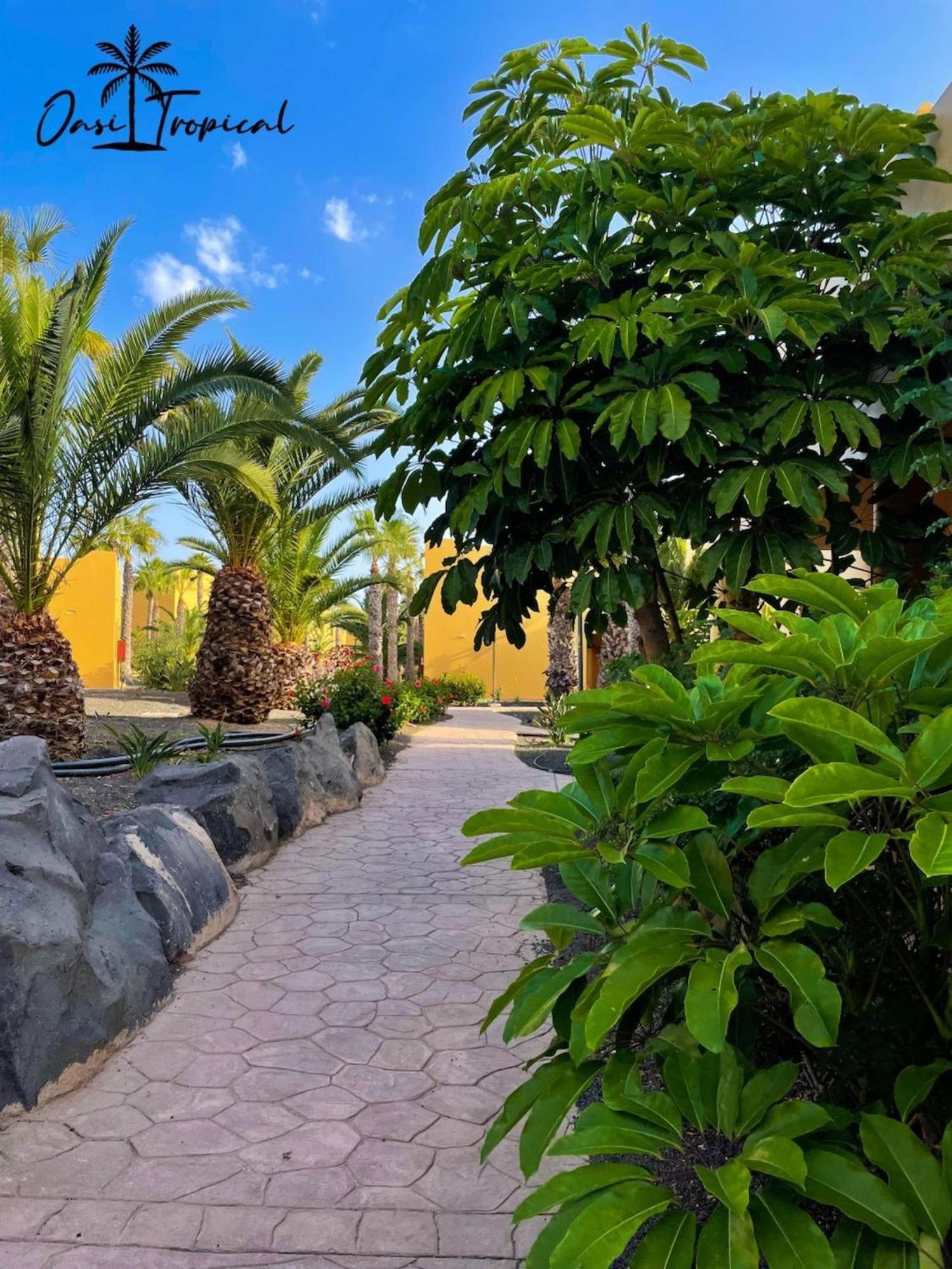Oasi Tropical Wifi Free By Rentalfue Corralejo Kültér fotó