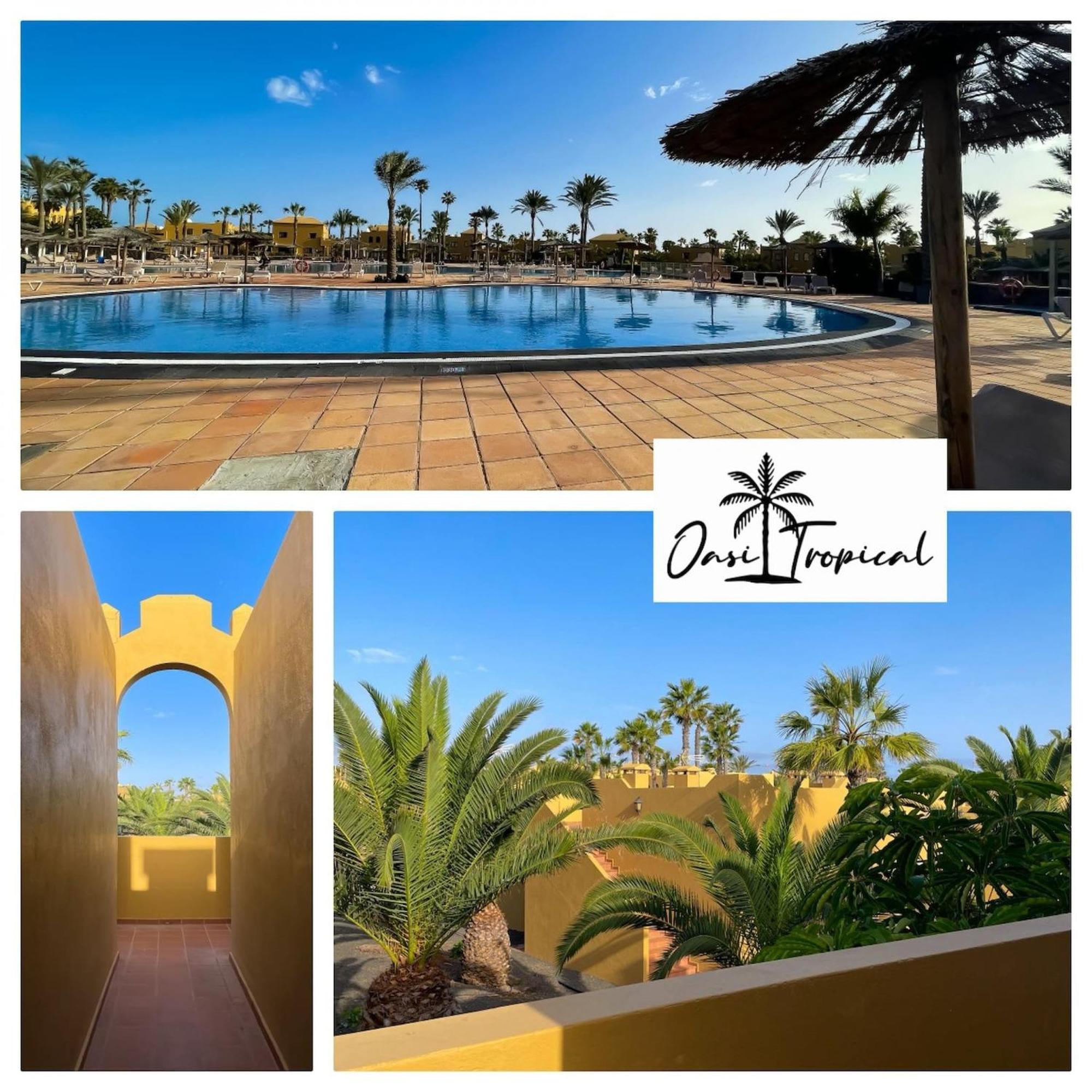 Oasi Tropical Wifi Free By Rentalfue Corralejo Kültér fotó
